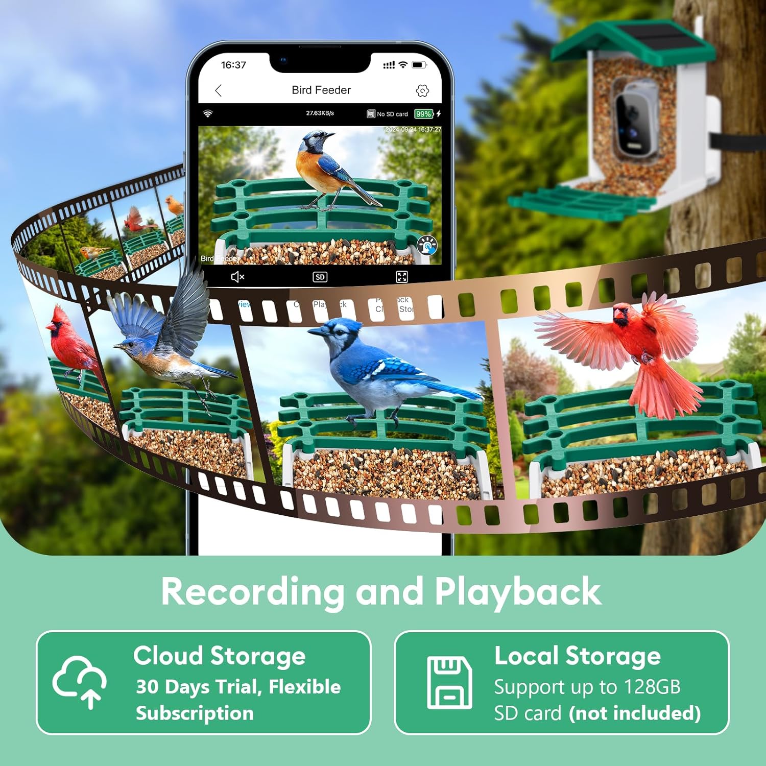 Comedero inteligente para pájaros - Image 5