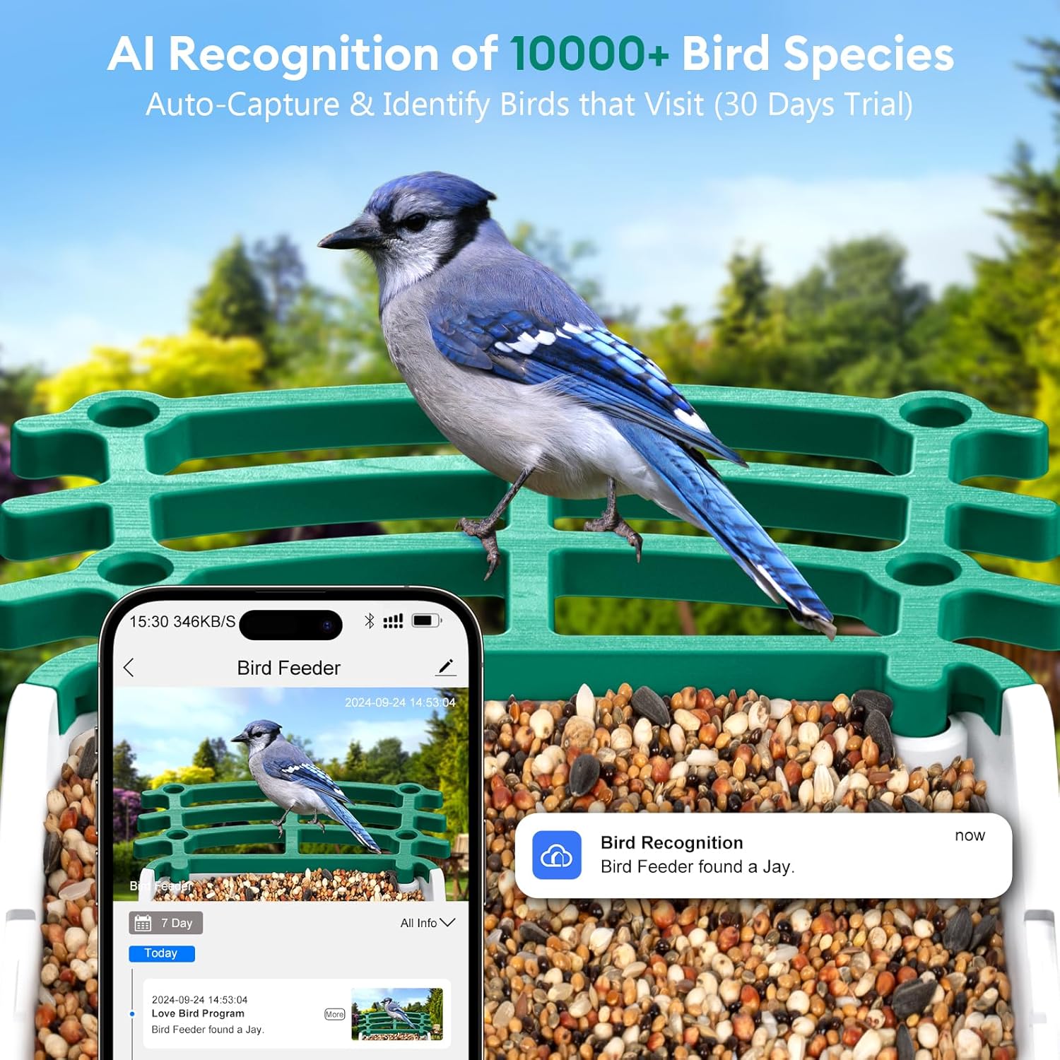 Comedero inteligente para pájaros - Image 3