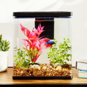 Kit Inicial de Acuario Betta View, 3 Galones