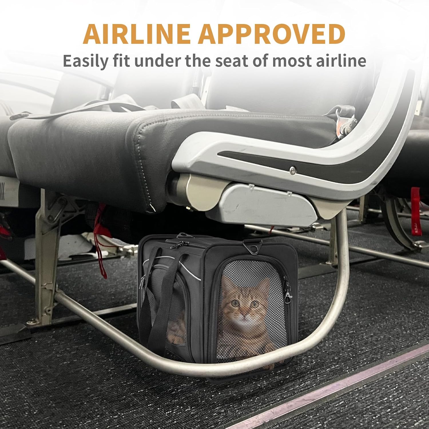 Bolsa de transporte Petsfit para perros y gatos - Image 5